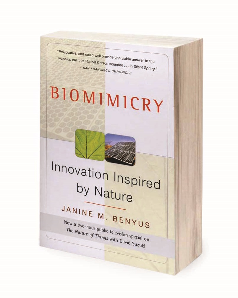 book standing on end with text, images, and decorative elements on cover