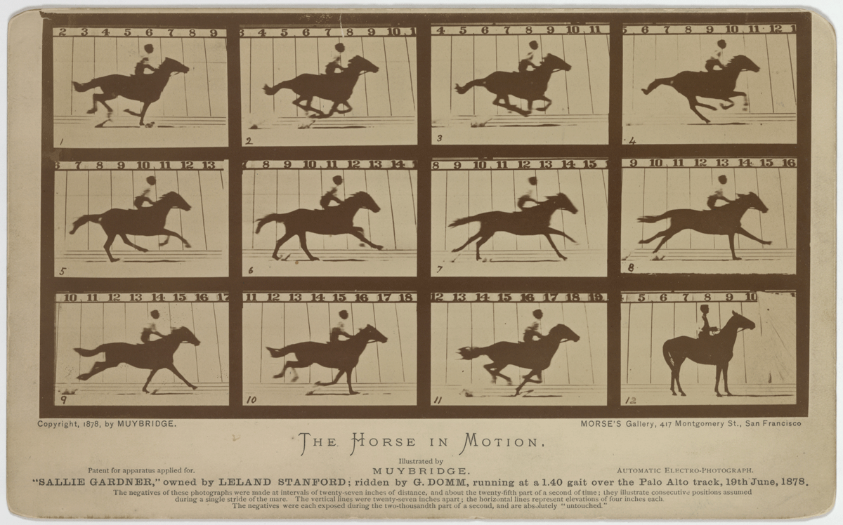 Photographs from Muybridge’s series The Horse in Motion