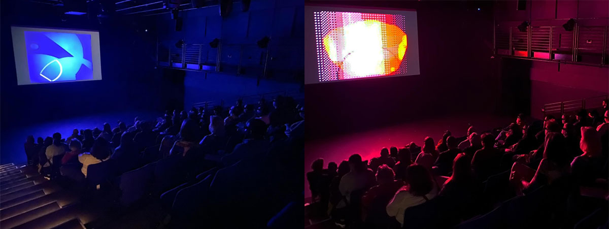 Views of the audience at the recent Lillian Schwartz screening.