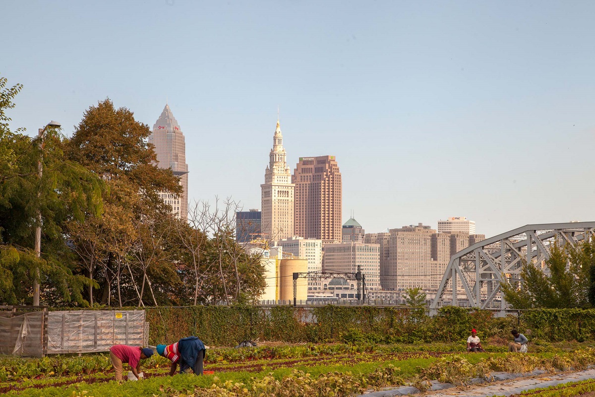 Ohio City Farm Several people work on a farm plot with a city skyline in the background