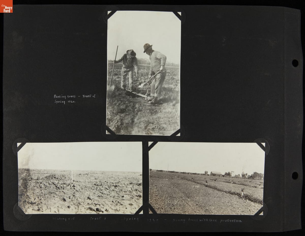 Black photo album page with three images--two showing fields and one showing two people with hoes and shovels in a field