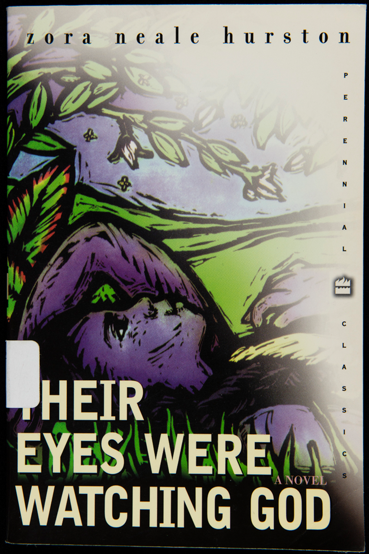 Their Eyes Were Watching God, 1990 edition. Most of Hurston’s famous works, including all four of her novels, were written and published after the Mule Bone controversy