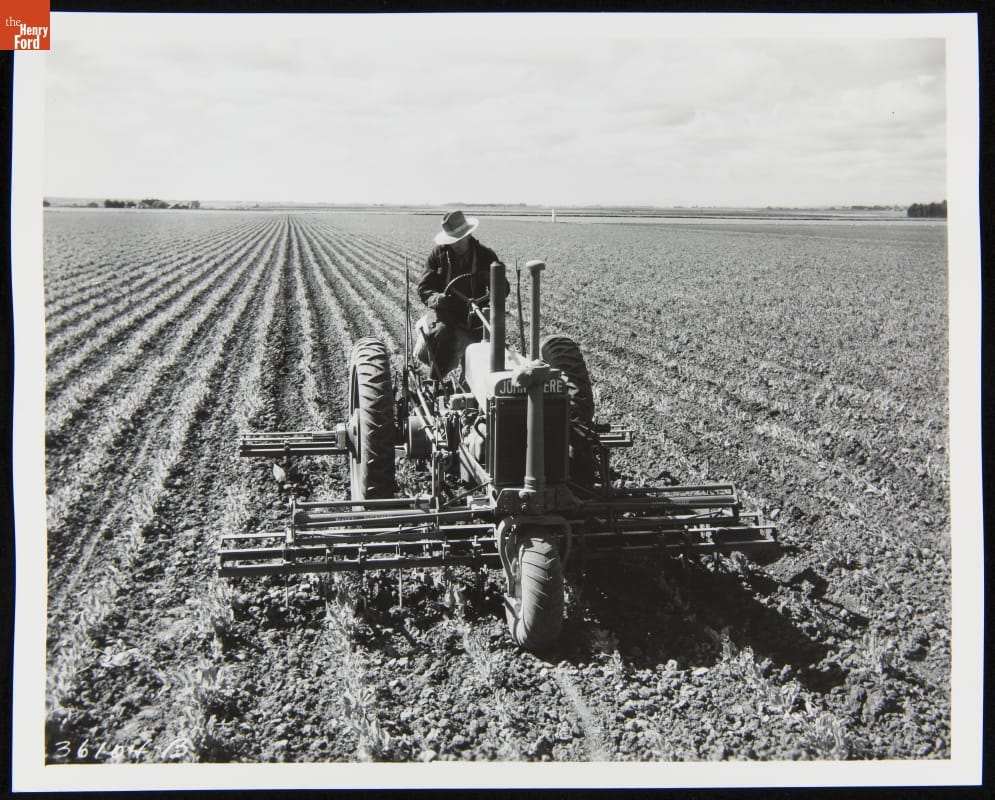 Man Using a 1935-1938 John Deere Model Black-and-white photo of man riding tractor through very large field filled with small plants