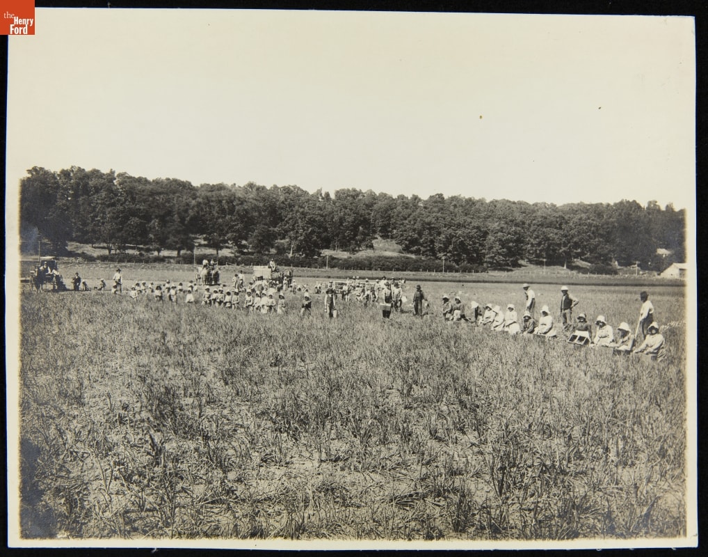 Workers in an Onion Field, H. J. Heinz Company, circa 1910 Open field with a large group of people sitting/standing/working in the distance, some with boxes
