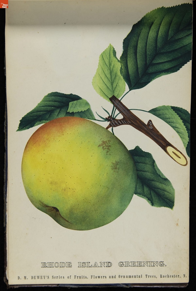 Nurseryman's Specimen Book, 1871-1888 / page 16 Print of mostly yellow apple with green and red blush with bough and leaves; also contains text