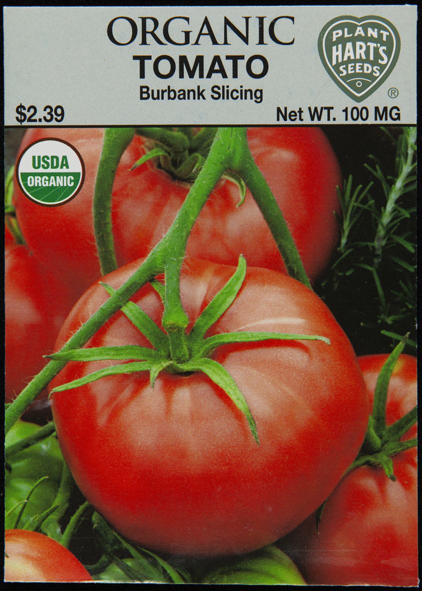 Charles C. Hart Seed Company Seed packet with photo of tomato on front and text on back