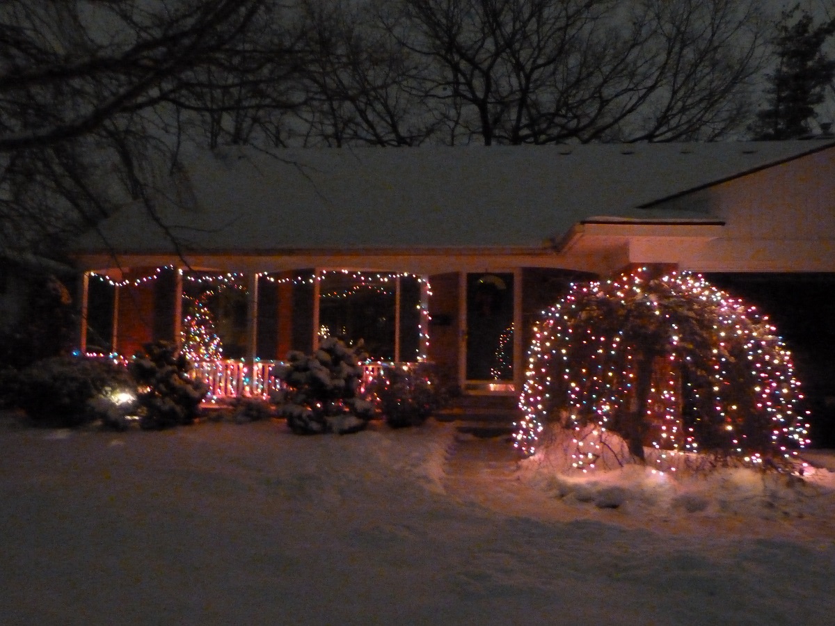 Christmas lights on tree and porch in front of house in snow