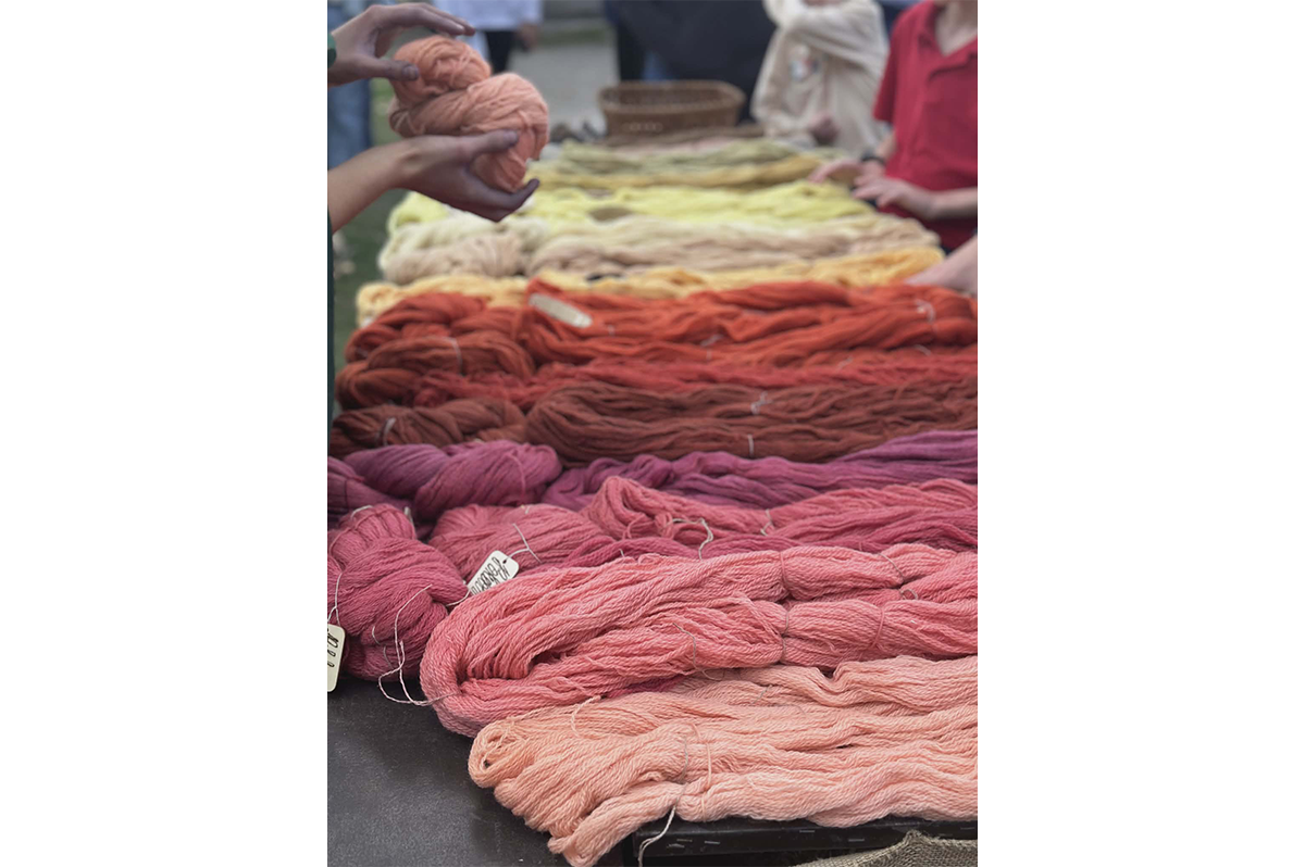 Assorted yarn dyed during the Colonial Wool Dyeing Program in 2024 on display in 2025