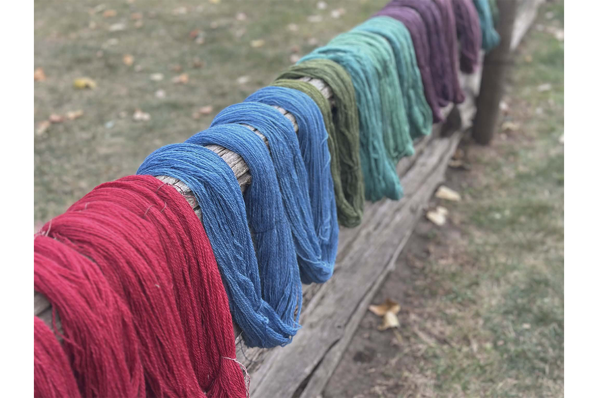  Dyes from Left to Right: Cochineal, Indigo, Indigo overdye with Osage Orange and Coreopsis, Logwood