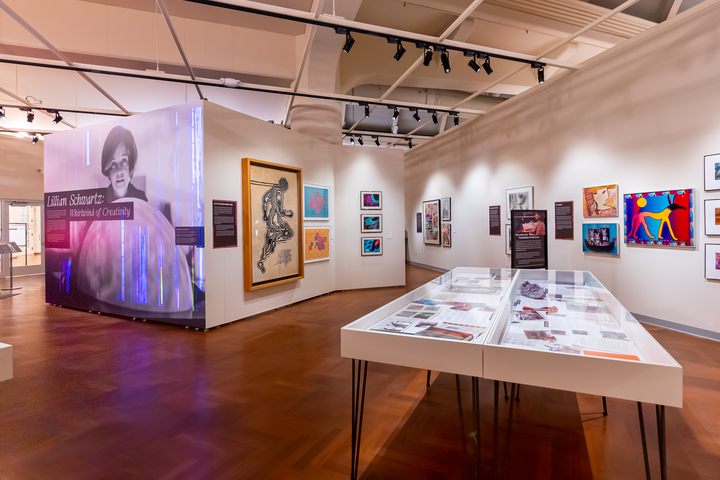 Collections Gallery