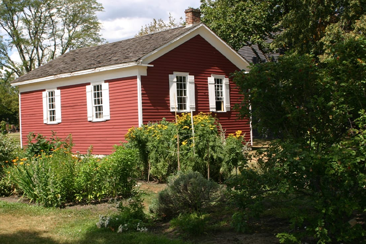 Dr. Howard's Garden
