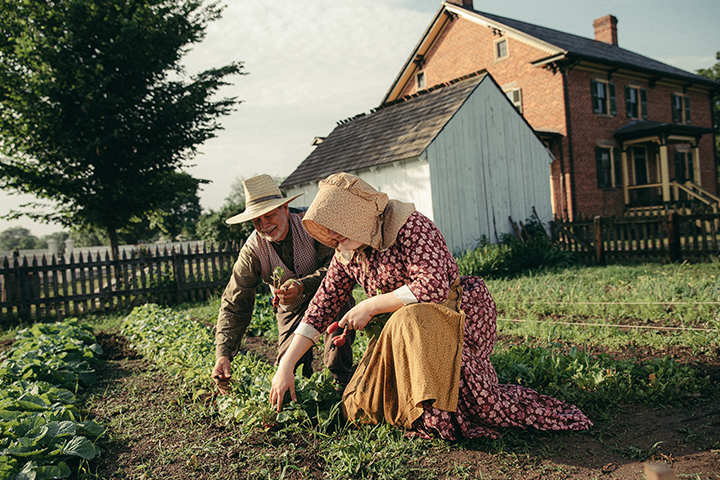 Working Farms